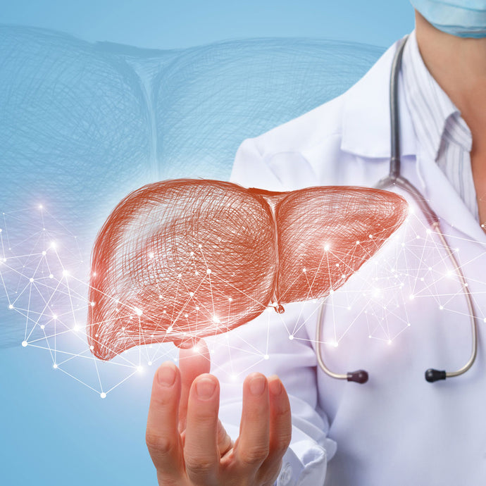 Liver Health 101: Introducing TUDCA